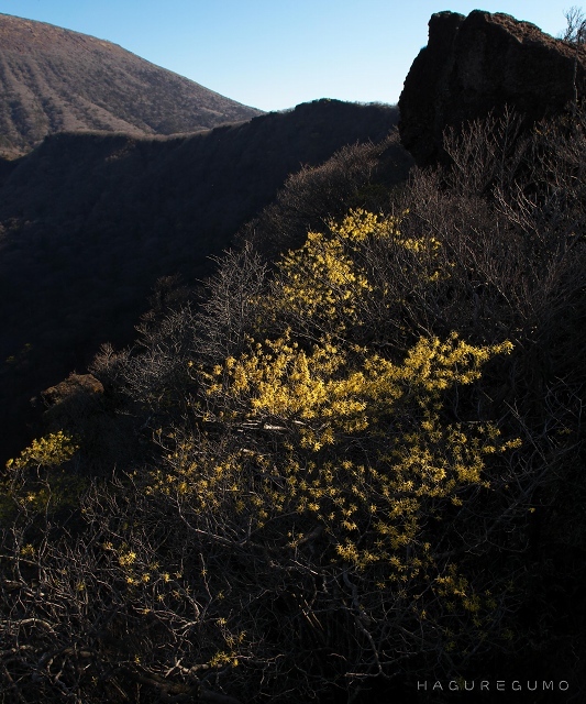 b0349835_08284174.jpg