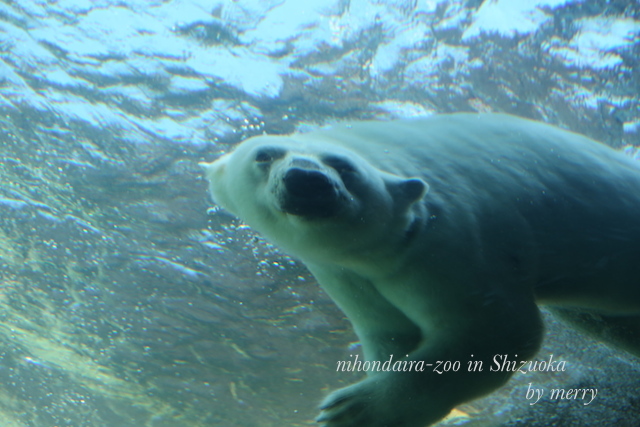 a0207736_01053040.jpg