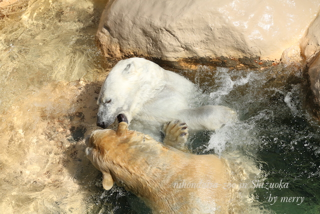 a0207736_01080710.jpg