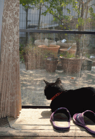 c0136736_1831254.gif