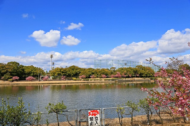 a0242438_2310597.jpg