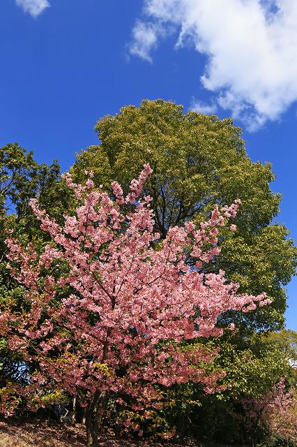 a0242438_2372441.jpg