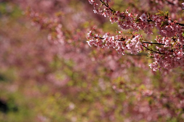 a0242438_237525.jpg