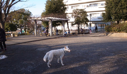 a0117039_22593979.jpg