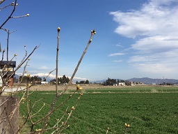 a0272241_21363628.jpg