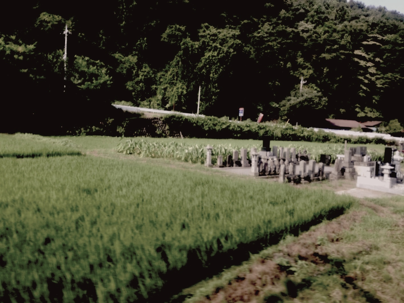 e0066861_162317.jpg