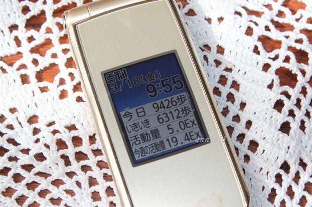 e0232963_1545727.jpg