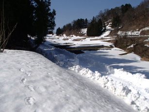 b0079965_4282365.jpg