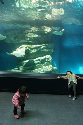 c0139765_13501190.jpg