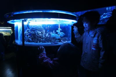 c0139765_1352136.jpg