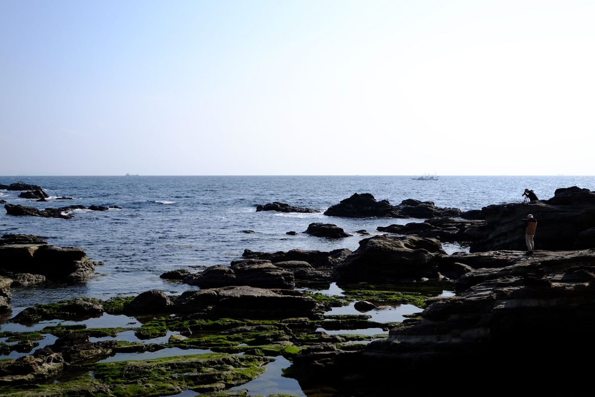 c0084666_10304875.jpg