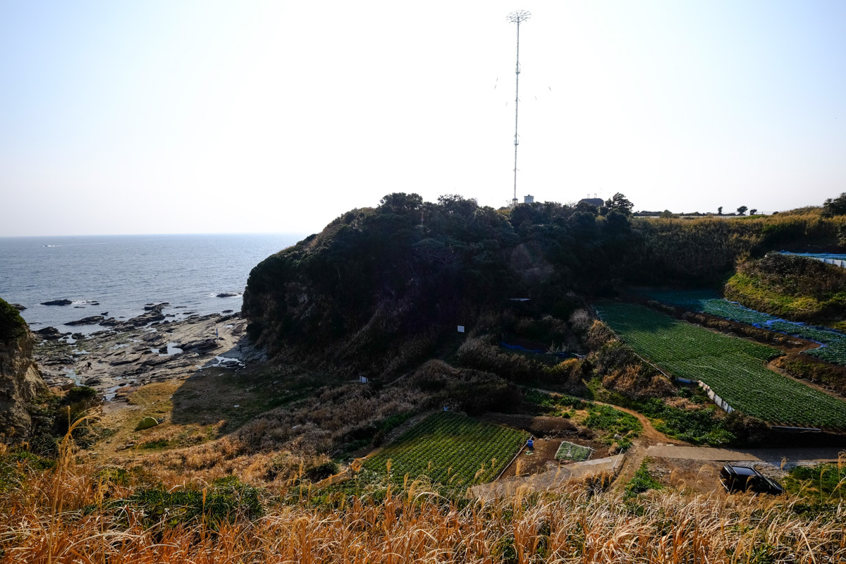 c0084666_10535799.jpg