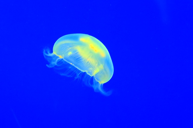 d0126577_19551056.jpg