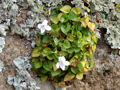 f0054677_08283533.jpg