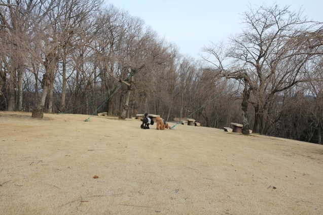 c0283778_177468.jpg
