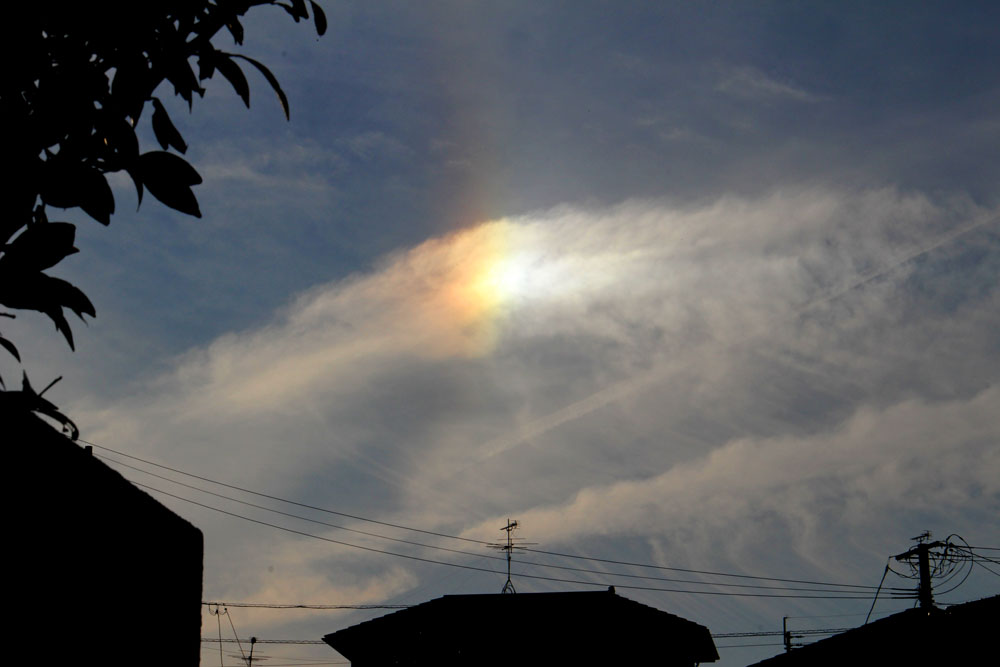 c0152779_117896.jpg