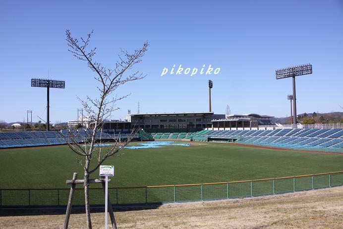 e0353681_11483242.jpg