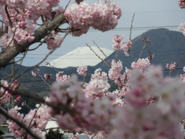 e0114588_20201059.jpg