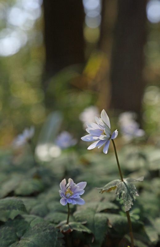 f0000789_15401399.jpg