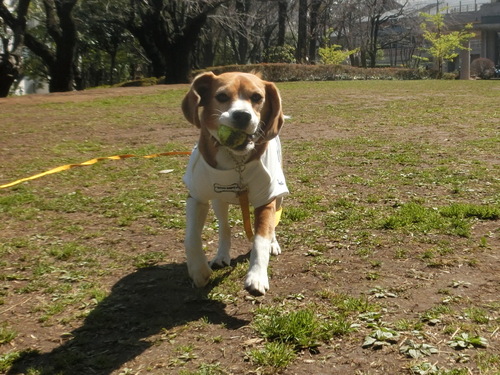 a0319693_8424412.jpg