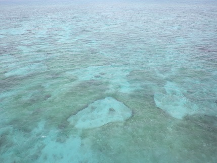 e0048994_15151635.jpg