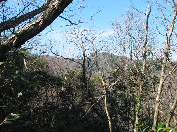 a0166196_14595196.jpg