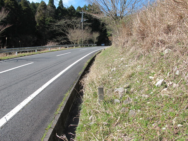 a0166196_1505973.jpg