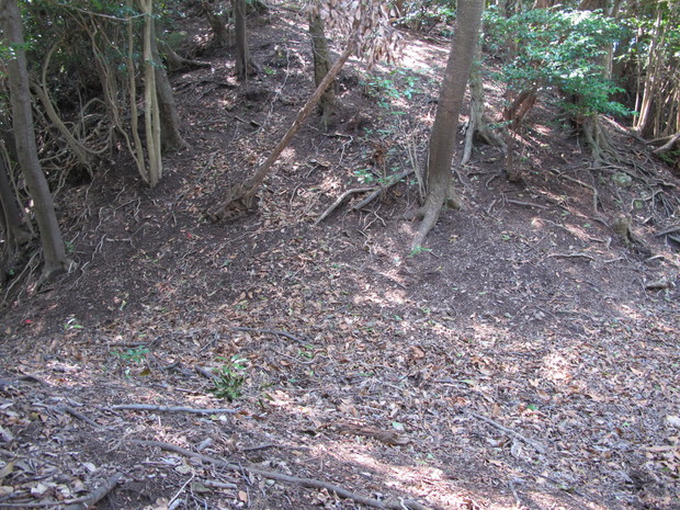 a0166196_15112040.jpg