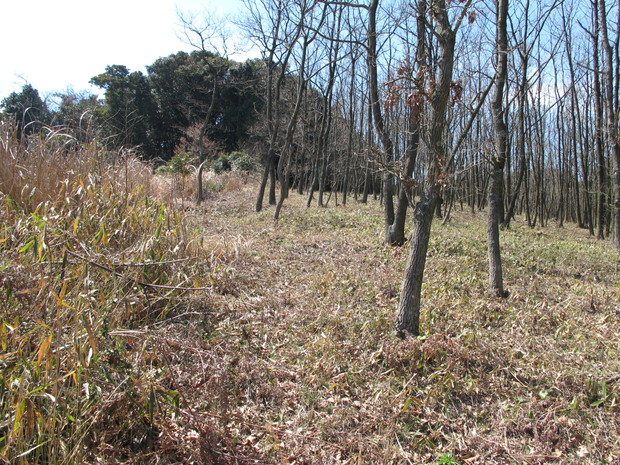 a0166196_1521249.jpg
