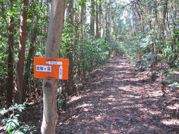 a0166196_1593310.jpg