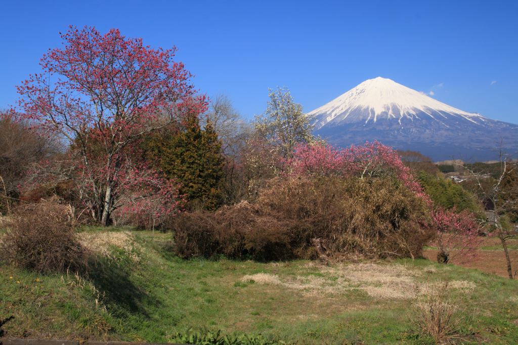 a0188405_09104391.jpg