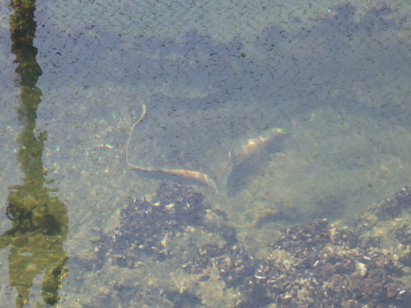 b0020017_1573960.jpg