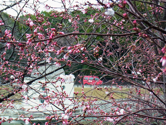 e0083517_22071059.jpg