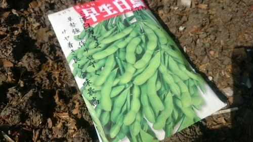 b0187620_20492900.jpg