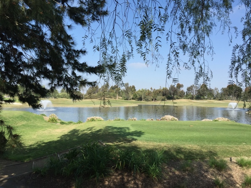 c0327528_03145171.jpeg