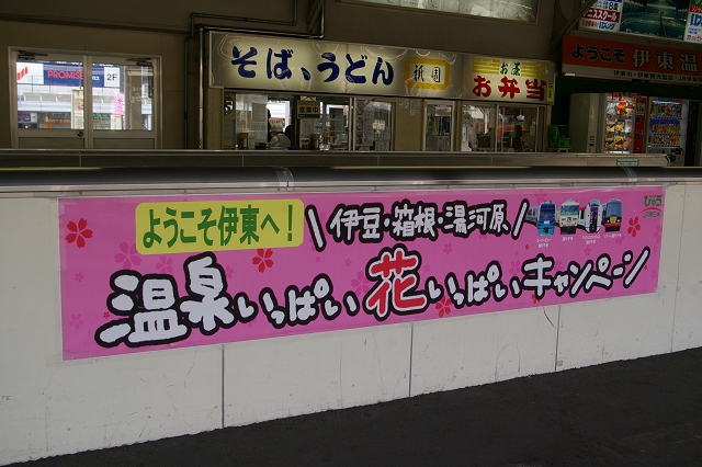 b0283432_2257545.jpg
