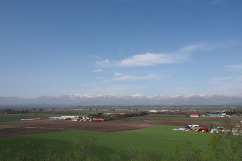 b0042334_9334781.jpg