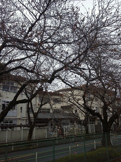 b0031140_22312338.jpg