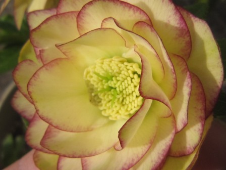 c0025140_23141035.jpg