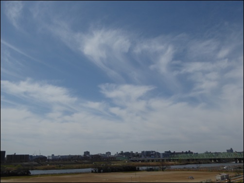 c0128342_1564576.jpg