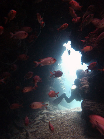 f0014842_16194414.jpg