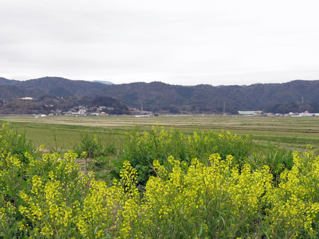 f0214649_4522685.jpg