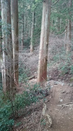 b0148050_10511819.jpg