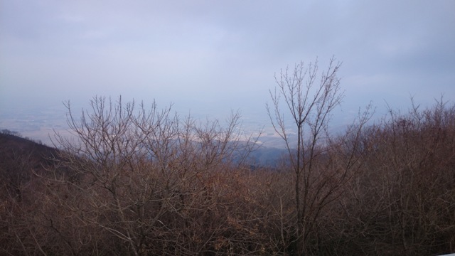 b0148050_1055223.jpg