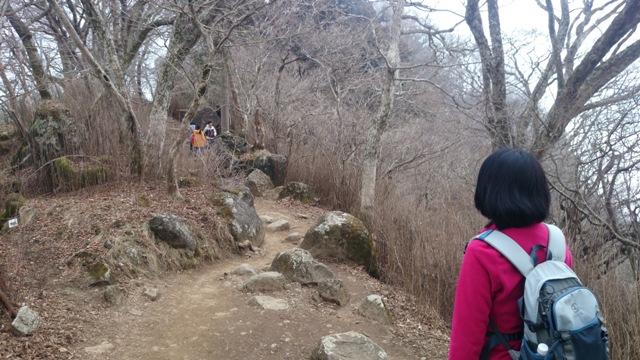 b0148050_21324079.jpg