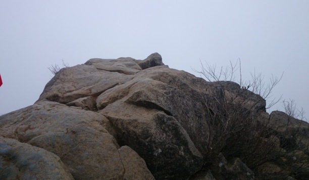 b0148050_21341335.jpg