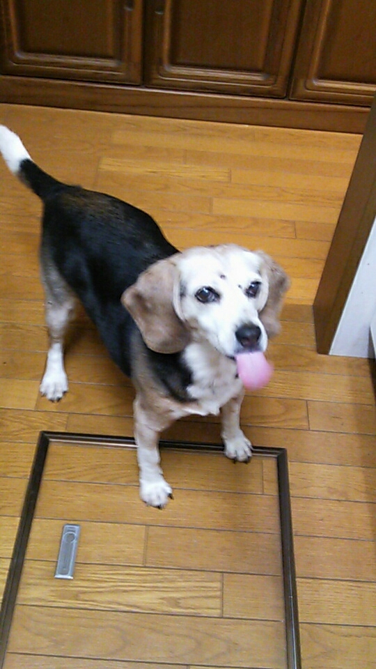c0134850_14530775.jpg
