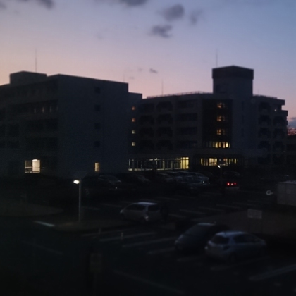 b0050067_232399.jpg