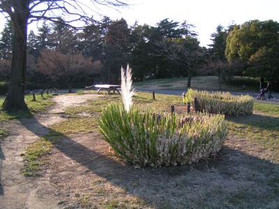 c0112172_214522.jpg