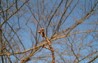 c0112172_2145950.jpg